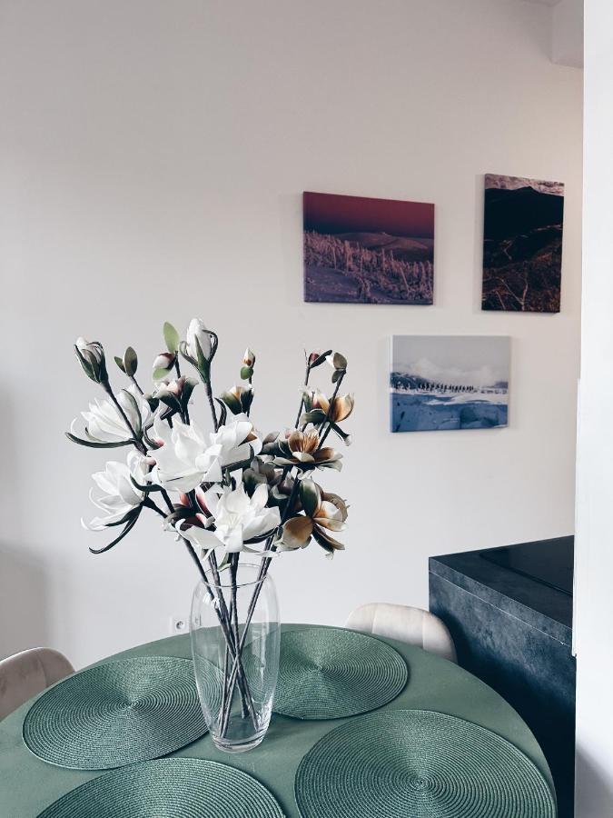 Apartamento Loft Przy Placu Niepodleglosci Jelenia Góra Exterior foto